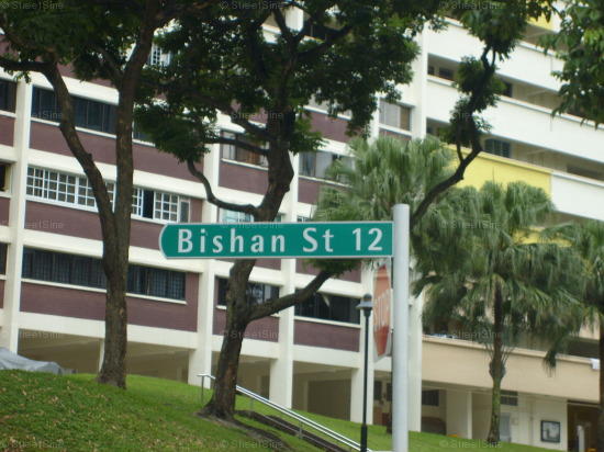 Bishan Street 12 #73312